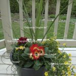 DIY planter tutorial