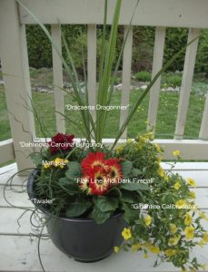 DIY planter tutorial