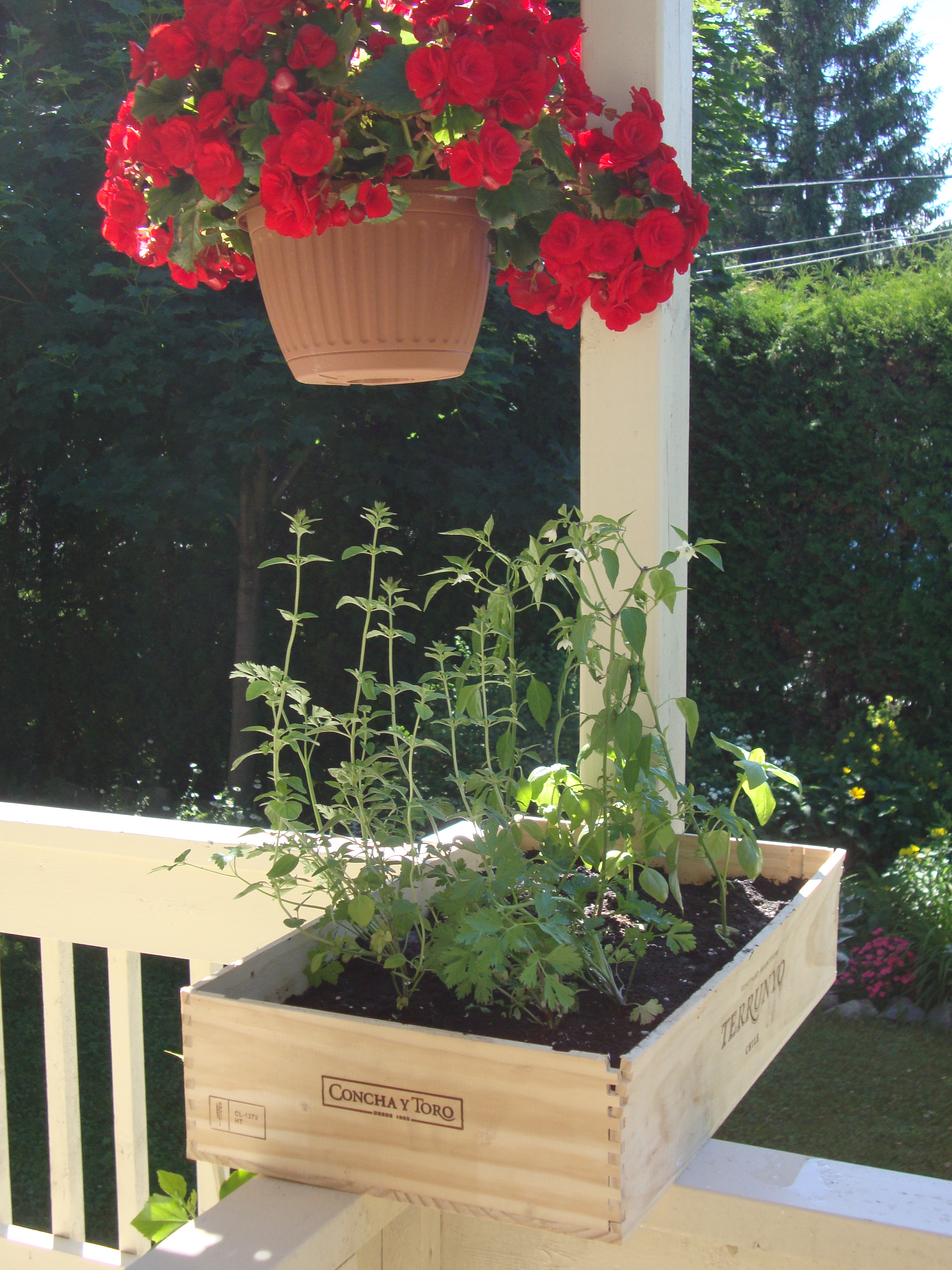 Subtlety over brilliance… herb gardening on my deck