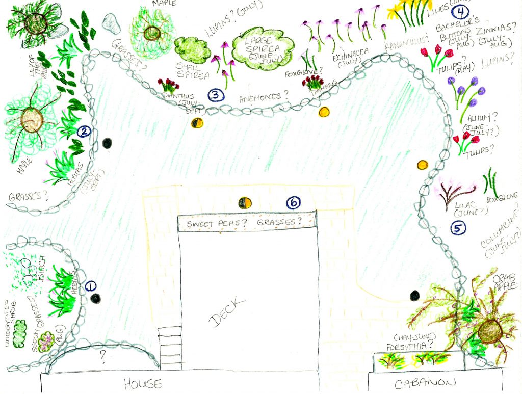 Garden Plans 2015