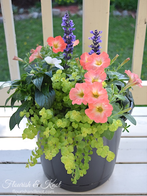 Blue, coral, white and green planter
