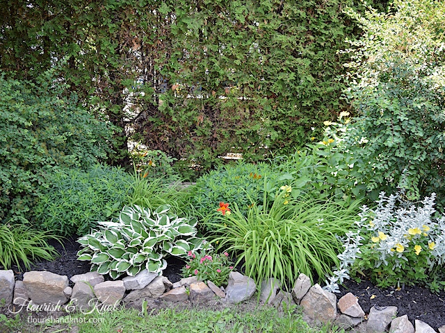 Our garden in 2015, after putting down black mulch. The plants pop against the black. | flourishandknot.com