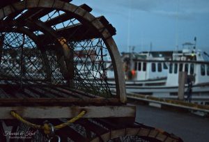 Lobster traps piled up in the harbour at dusk in Malpeque, PEI