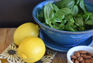 Lemon + Basil + Toasted Almonds = Delicious zesty lemon pesto! | flourishandknot.com
