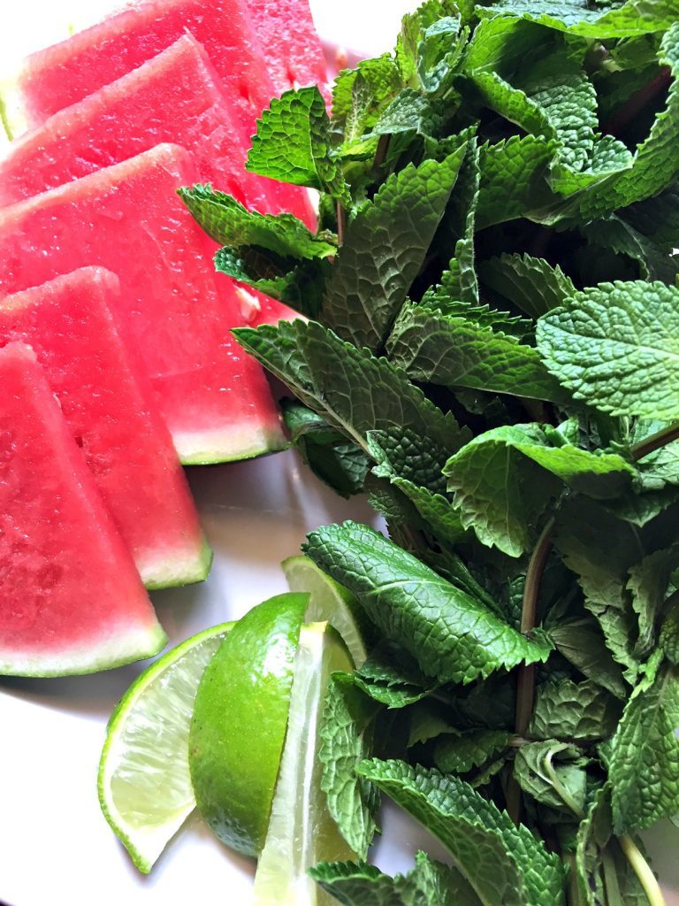 Watermelon Mojitos! | Spectacular Summer Blog Hop #13