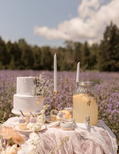 Cake display in lavender field elopement