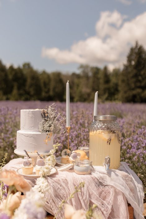 Cake display in lavender field elopement